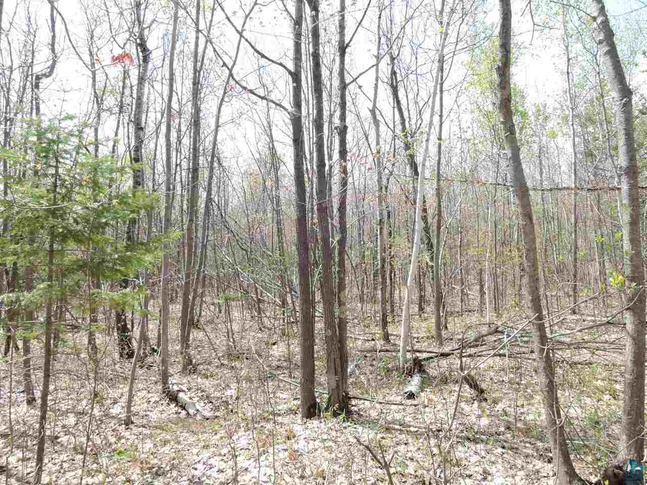 Morrison Rd Port Port Wing, WI 54865 - Photo 3 of 5