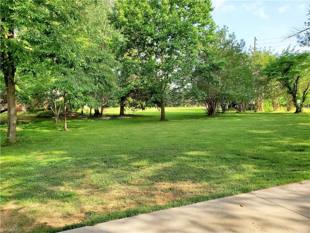 285 Hopkins Road Kernersville, NC 27284 - Photo 8 of 27