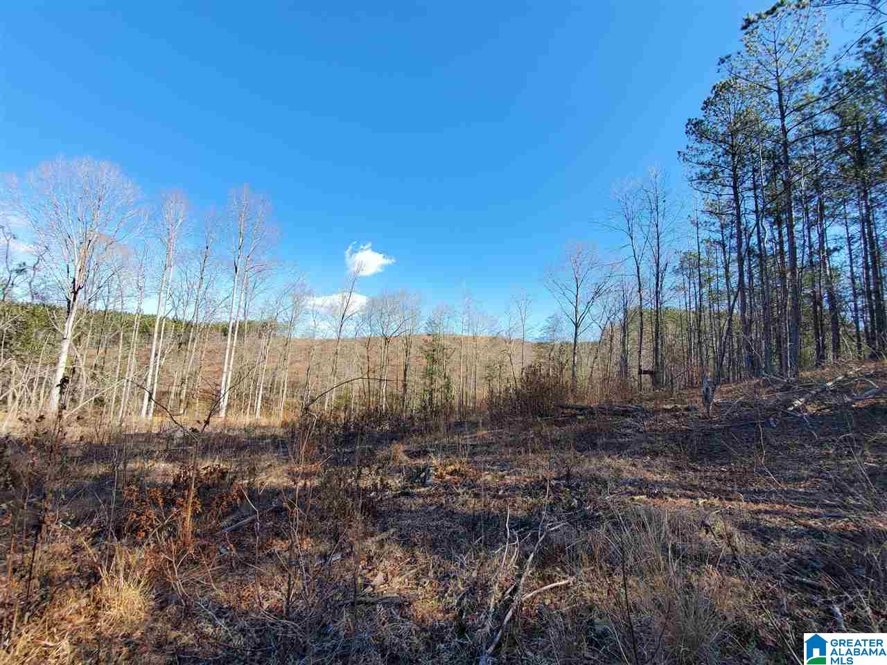 0 Berry Road, Unit 152 Goodwater, AL 35072 - Photo 21 of 30