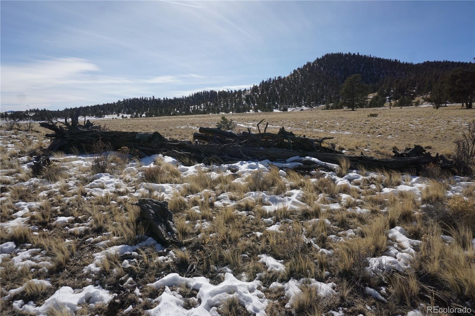 124 Boulder Road Hartsel, CO 80449 - Photo 4 of 9 Gallery Image 4