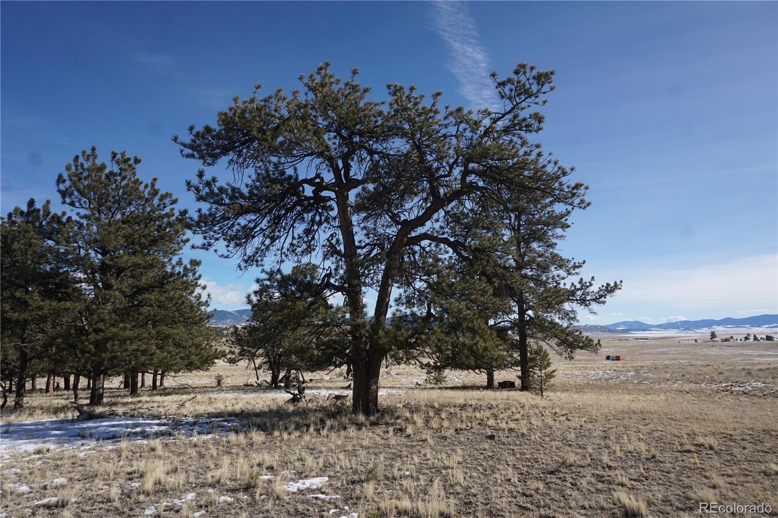 124 Boulder Road Hartsel, CO 80449 - Photo 5 of 9 Gallery Image 5