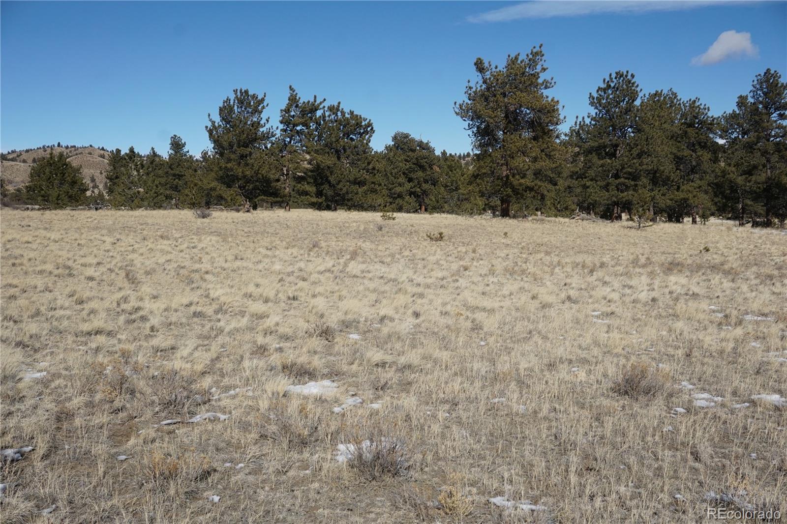 124 Boulder Road Hartsel, CO 80449 - Photo 8 of 9 Gallery Image 8