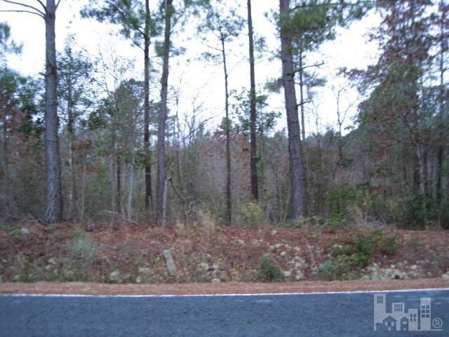 73 Slocum Trail Atkinson, NC 28421 - Photo 1 of 1 Primary Photo
