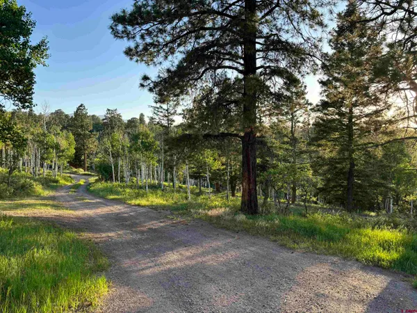 a view of outdoor space with trees all around