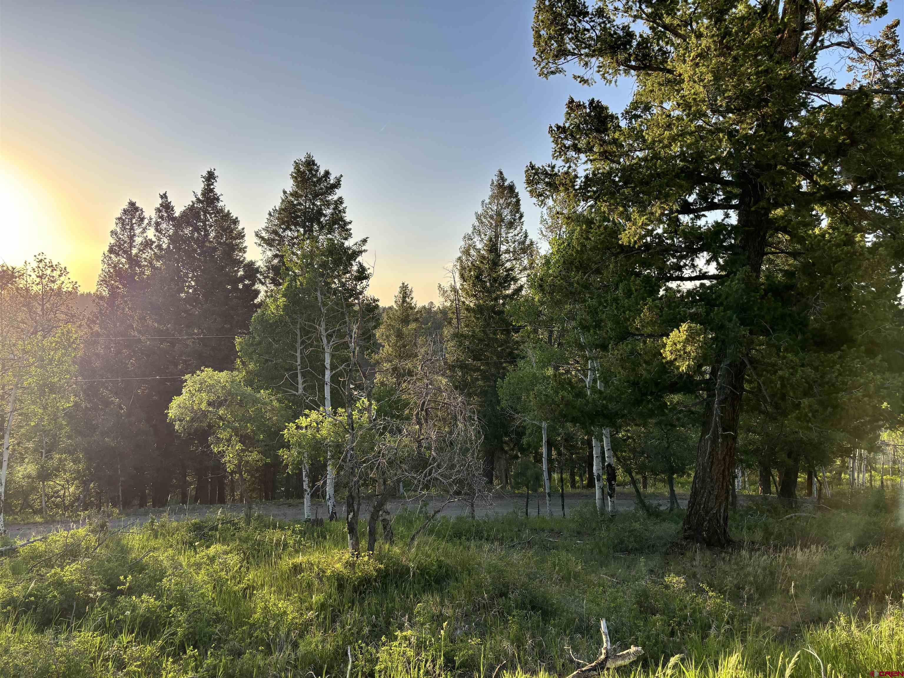 135 Aspenglow Lane Ridgway, CO 81432 - Photo 19 of 19 a backyard of a house with lots of green space and mountain view in back