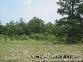 1380 Stubby Oaks Road Aberdeen, NC 28315 - Photo 6 of 6 Gallery Image 6