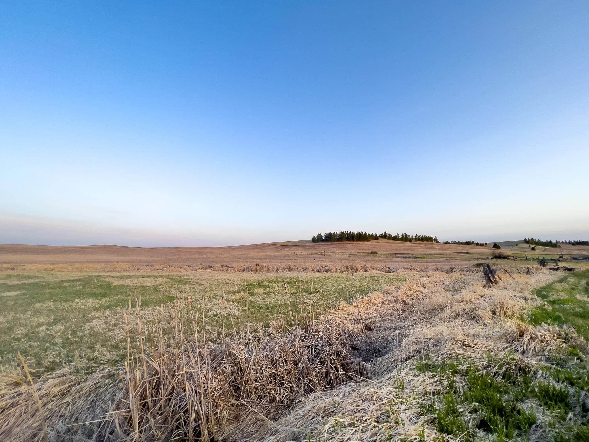 Lot 1 East Cheney-Spangle Road, Unit PARCEL 32081 9040 Spangle, WA 99031 - Photo 3 of 27