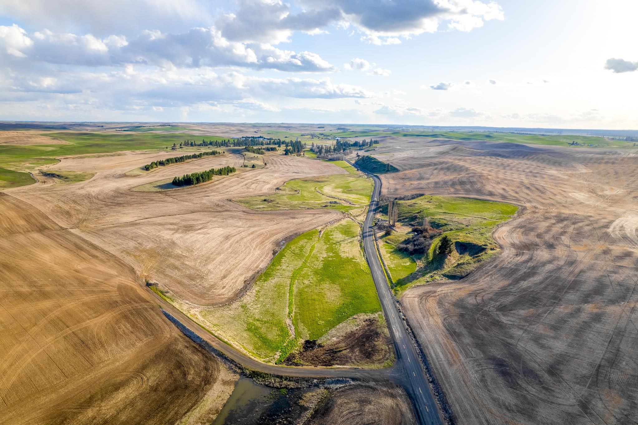 Lot 1 East Cheney-Spangle Road, Unit PARCEL 32081 9040 Spangle, WA 99031 - Photo 10 of 27