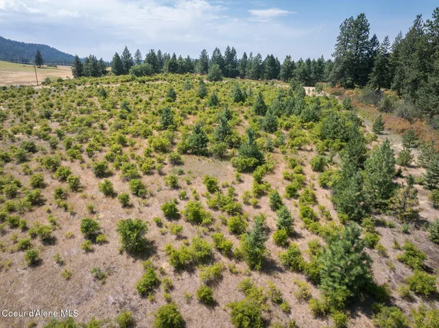 $470,000 | L3 South Bella Vista Road, Worley, ID 83876