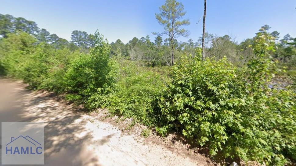 7 Henry Moxley Road Cobbtown, GA 30420 - Photo 3 of 11 Gallery Image 3