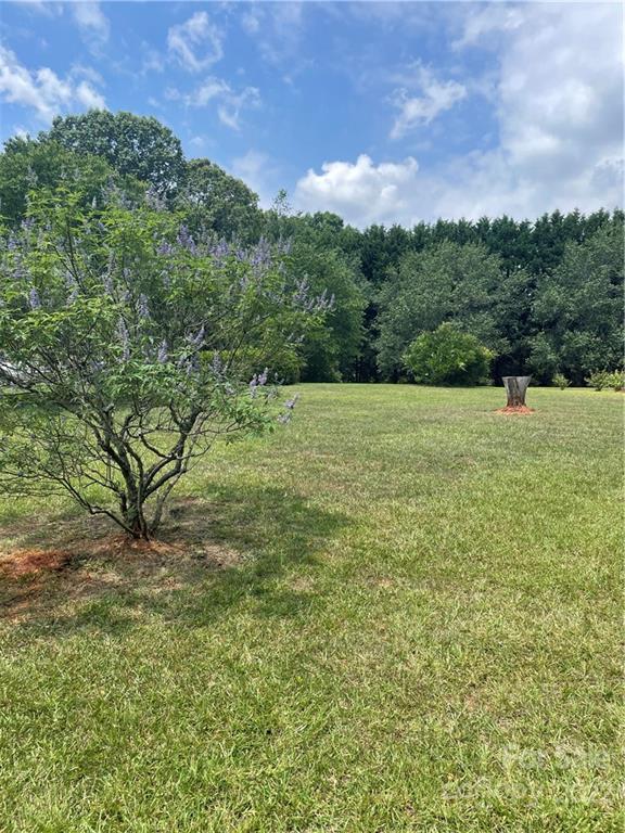 1255 Colonial Road Clover, SC 29710 - Photo 18 of 20 a view of outdoor space and yard