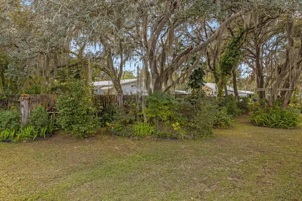 a view of a yard with a tree