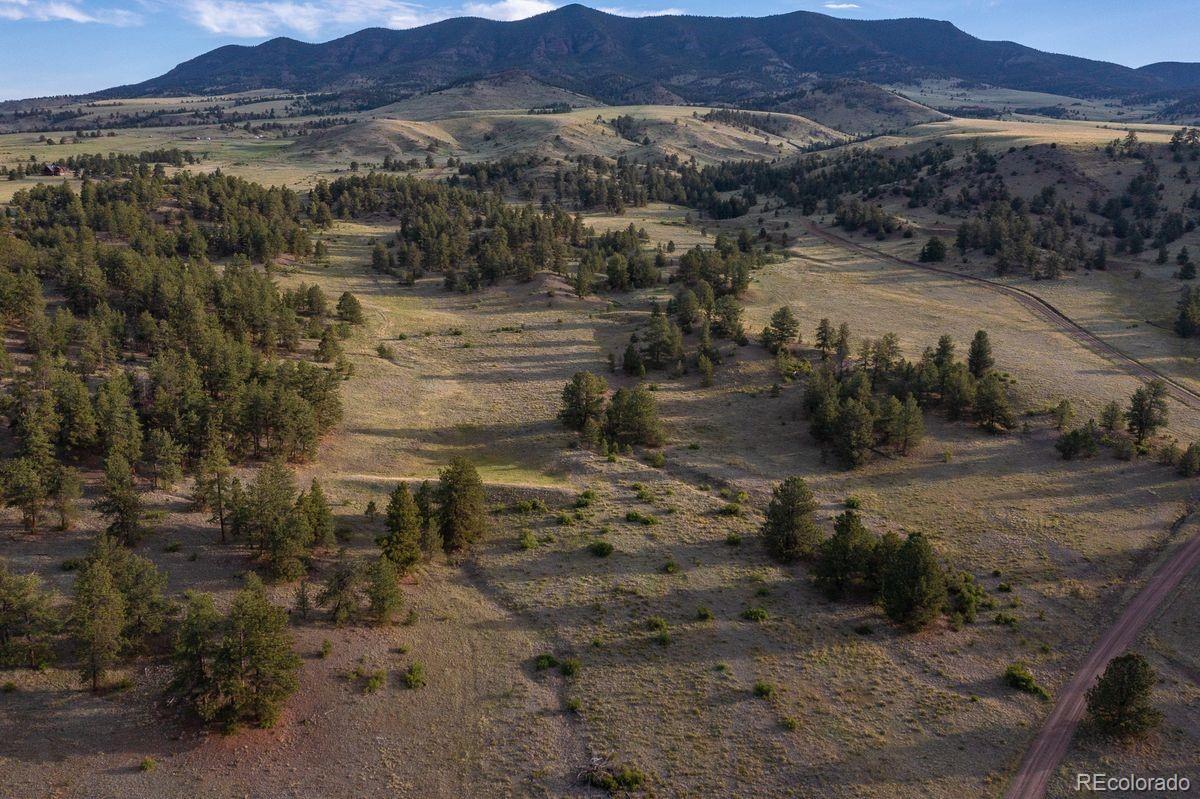 0 Big Buck Road Guffey, CO 80820 - Photo 11 of 14