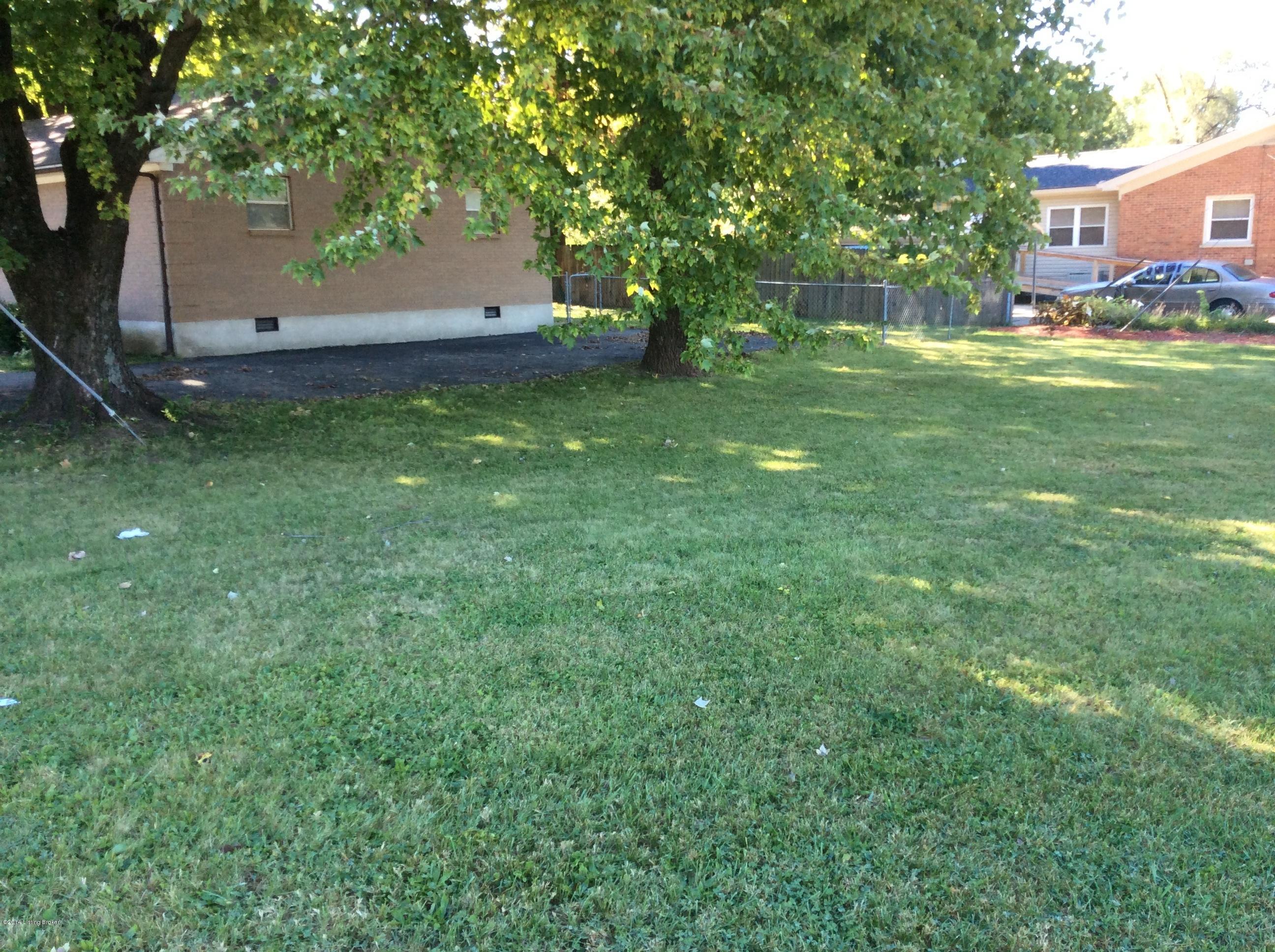 5214 Poplar Level Road Louisville, KY 40219 - Photo 14 of 15 Huge side yard!