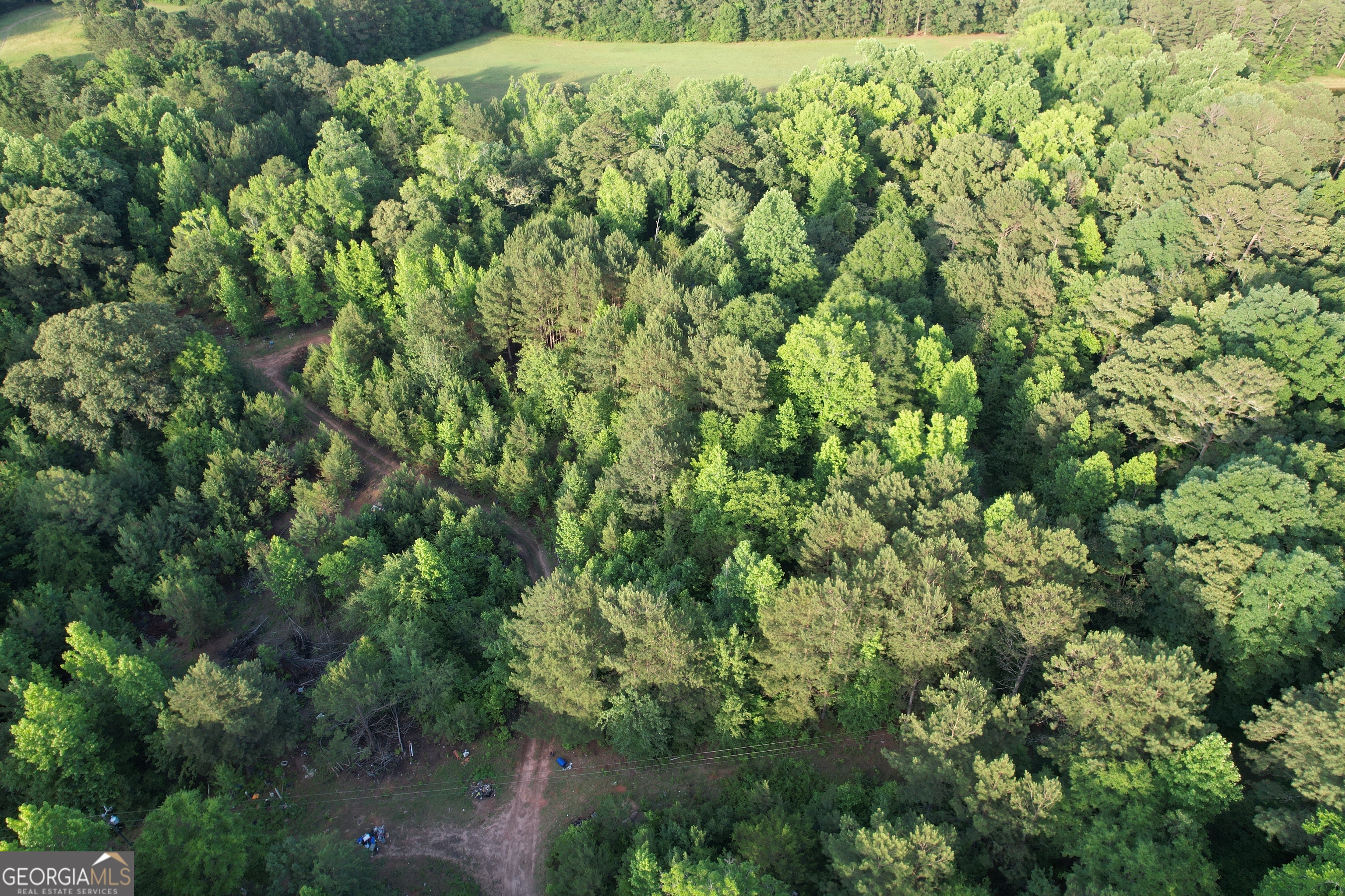 541 B Ellis Dairy Road Griffin, GA 30224 - Photo 3 of 8