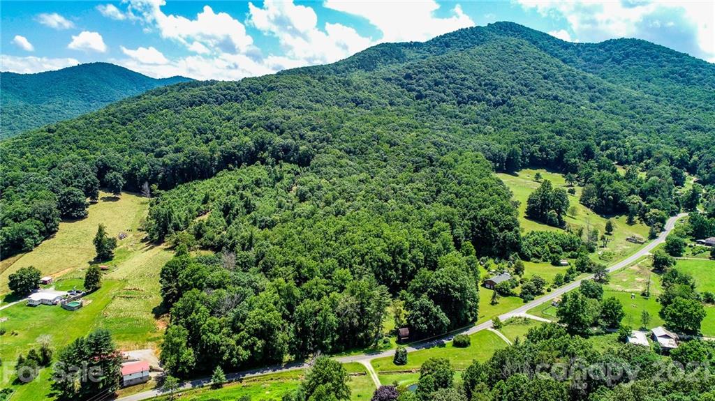 71 Smith Cove Road Candler, NC 28715 - Photo 5 of 43 Gallery Image 5