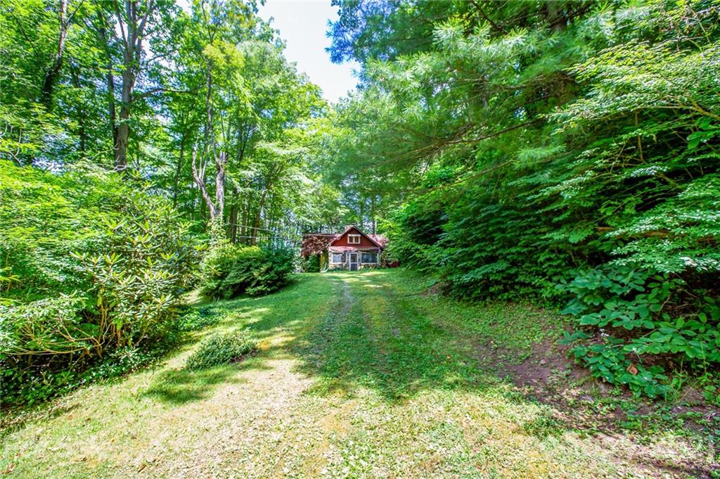 71 Smith Cove Road Candler, NC 28715 - Photo 9 of 43 Gallery Image 9