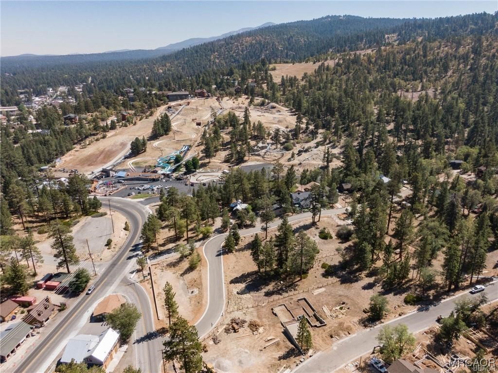 810 Talmadge Road Big Bear Lake, CA 92315 - Photo 16 of 18