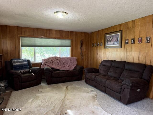 61 Rivers Road Smith, NV 89430 - Photo 27 of 57 a living room with a couch and a large window