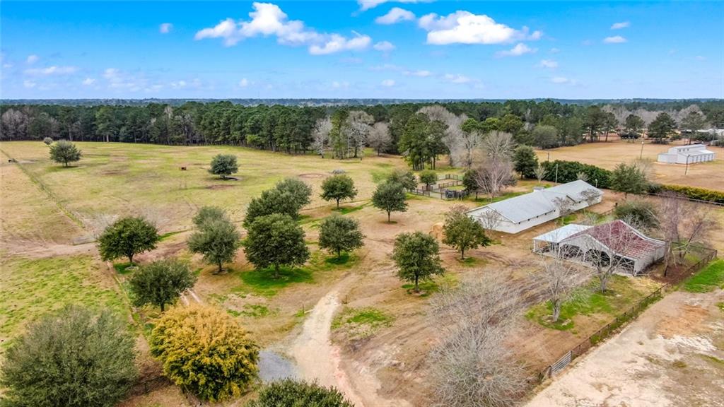 81443 Chenel Road Folsom, LA 70437 - Photo 29 of 38