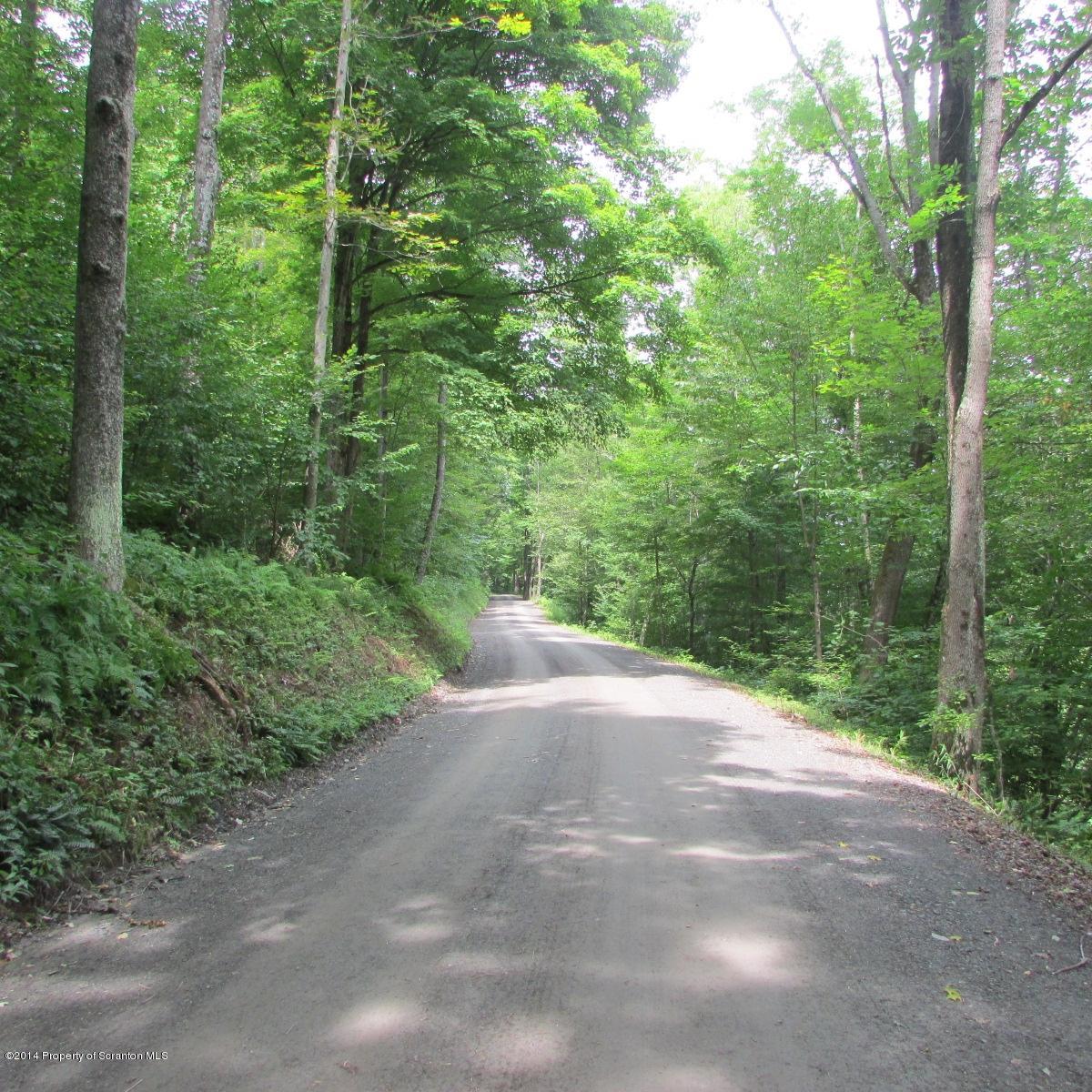 Creek Road Hop Bottom, PA 18824 - Photo 1 of 8 a view of a forest with trees