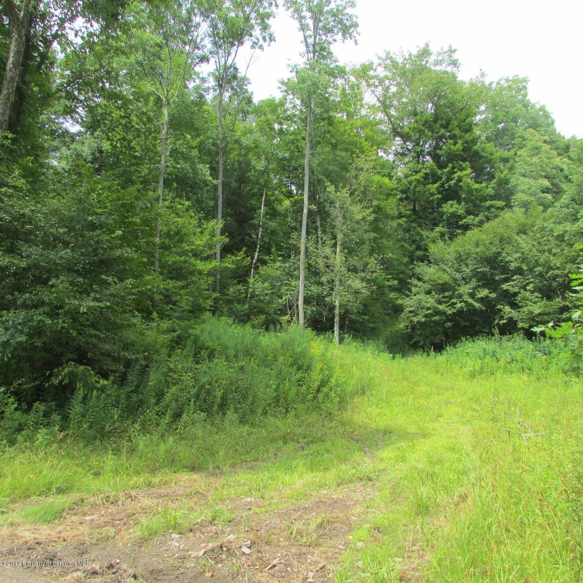 Creek Road Hop Bottom, PA 18824 - Photo 8 of 8 a view of a lush green forest