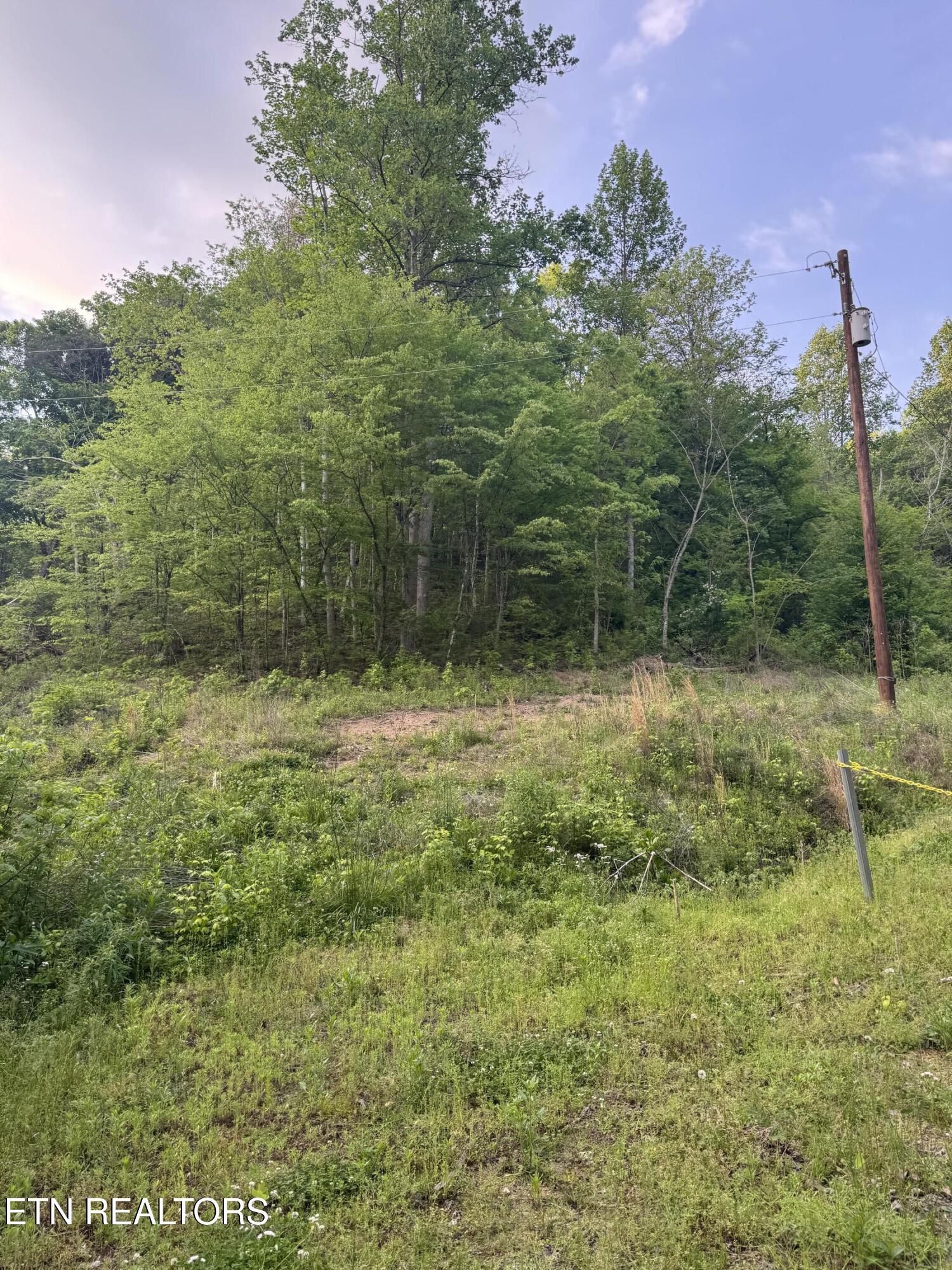 332 Padgett Mill Road Cosby, TN 37722 - Photo 23 of 41 IMG_8441
