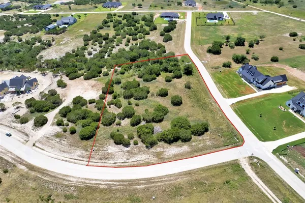 a view of a garden