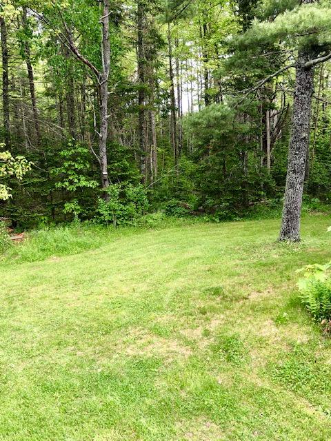 78 Western County Road Penobscot, ME 04476 - Photo 13 of 18 Back Yard
