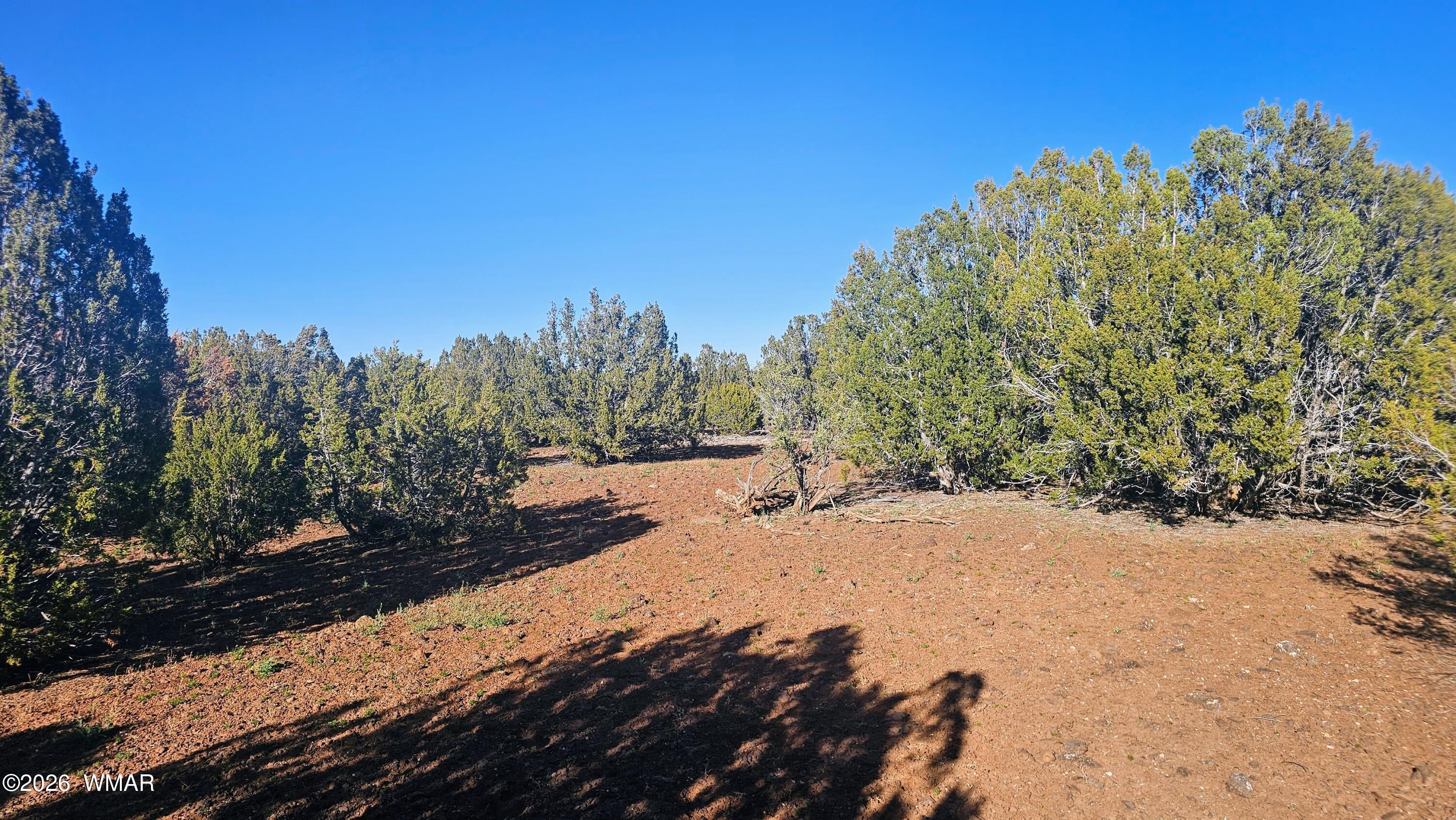 9383 Bald Eagle Road Show Low, AZ 85901 - Photo 17 of 29 Gallery Image 17