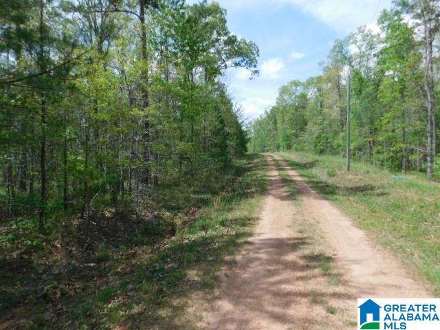 2 Pointe South Drive Wedowee, AL 36278 - Photo 3 of 6