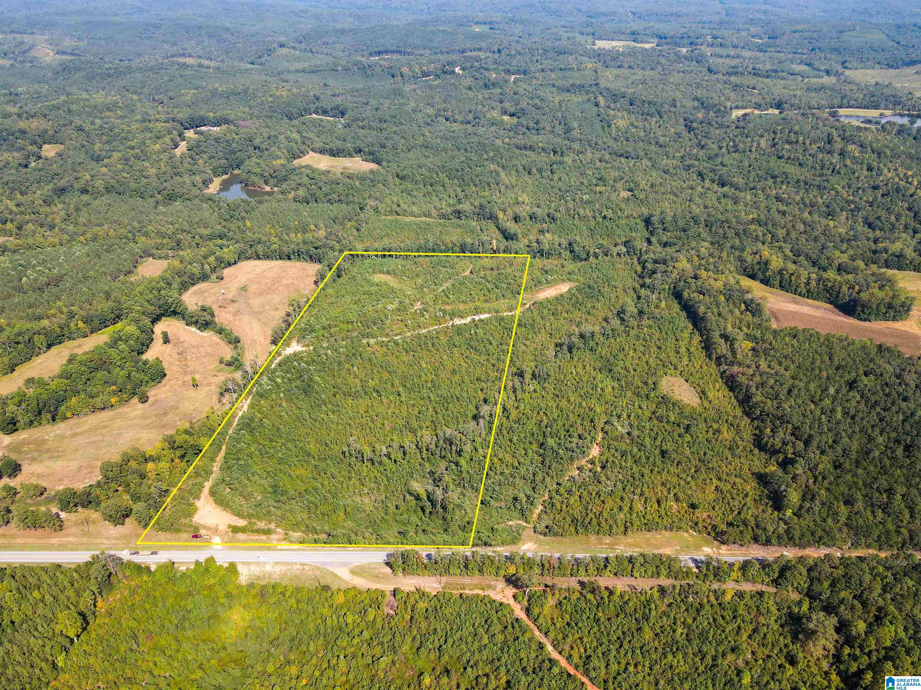1 Highway 13, Unit 1 Berry, AL 35546 - Photo 3 of 52