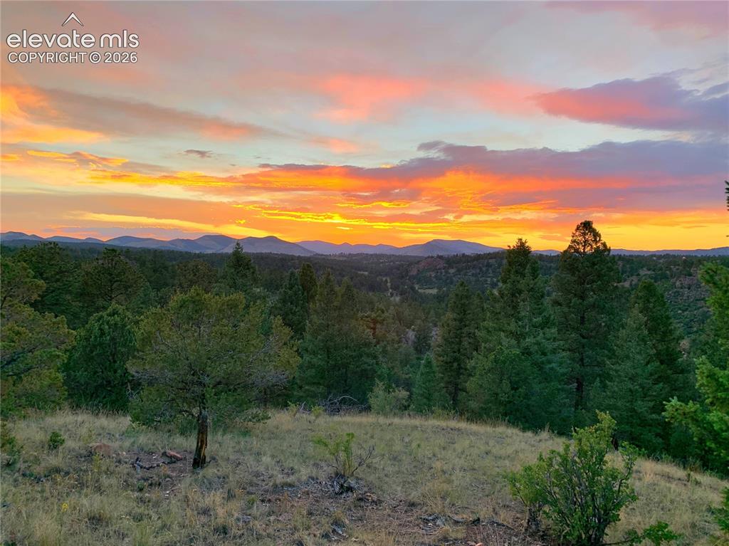 986 Apache Road Florissant, CO 80816 - Photo 3 of 50