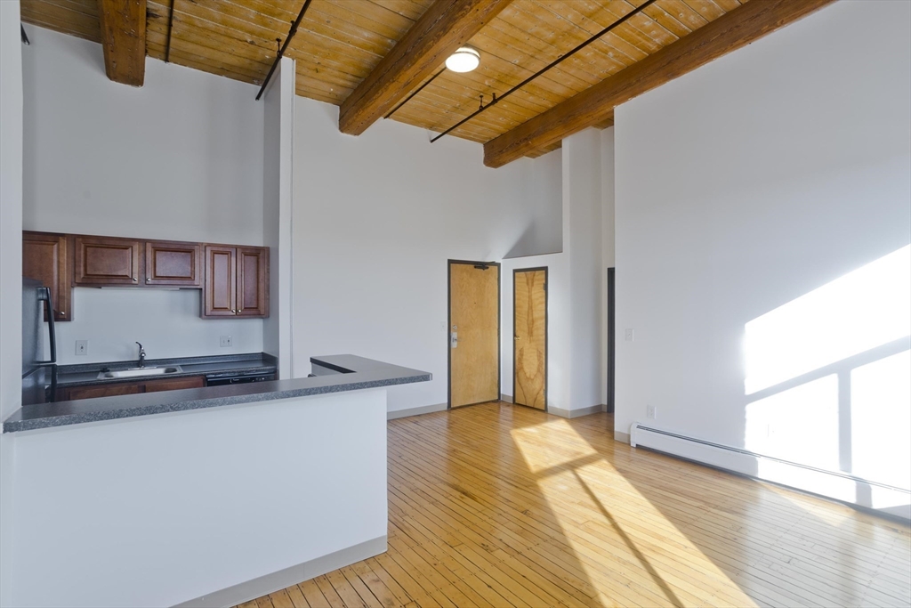 45 Willow Street, Unit 1 Springfield, MA 01103 - Photo 2 of 31