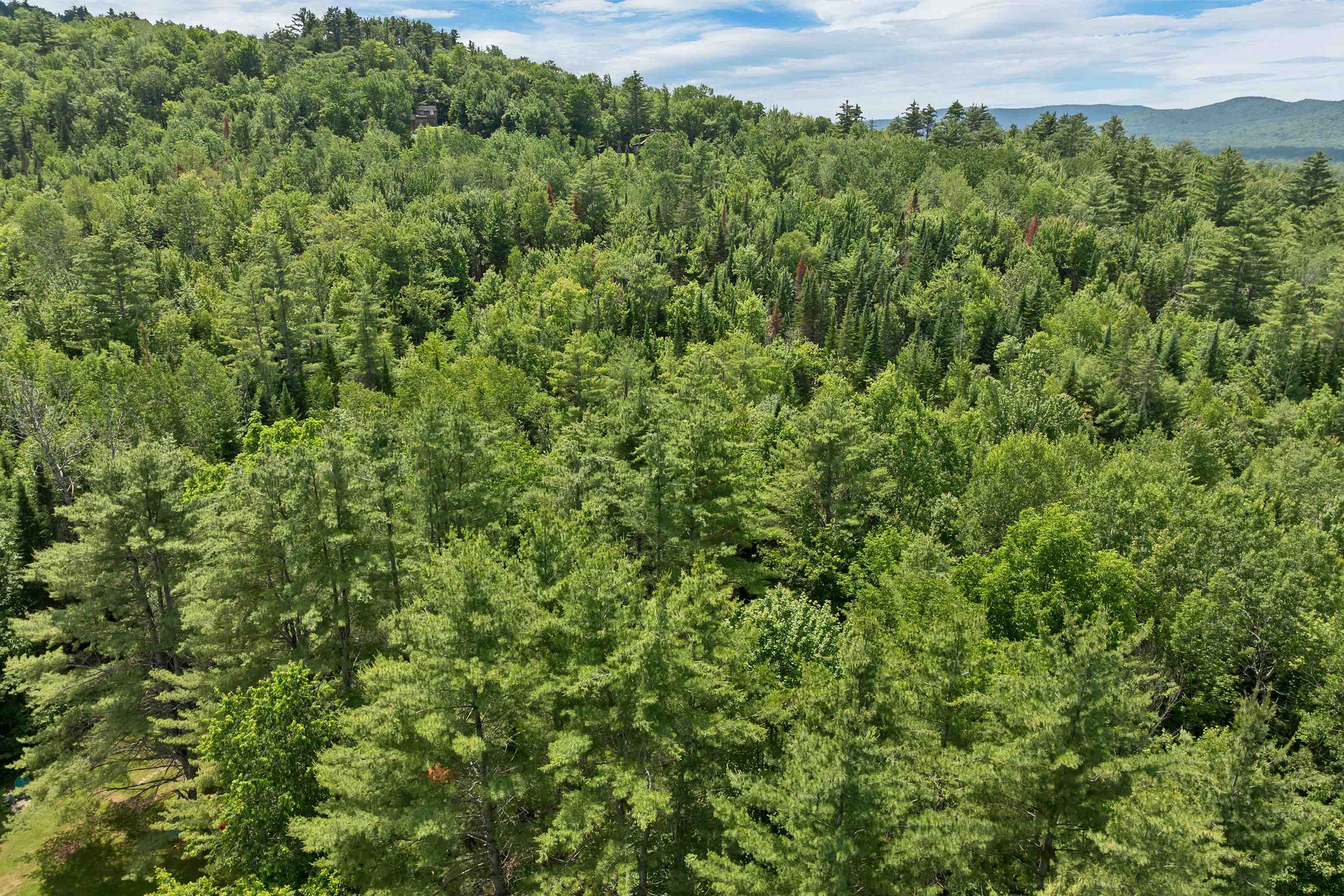 231-70-1 Crane Road Whitefield, NH 03598 - Photo 13 of 14
