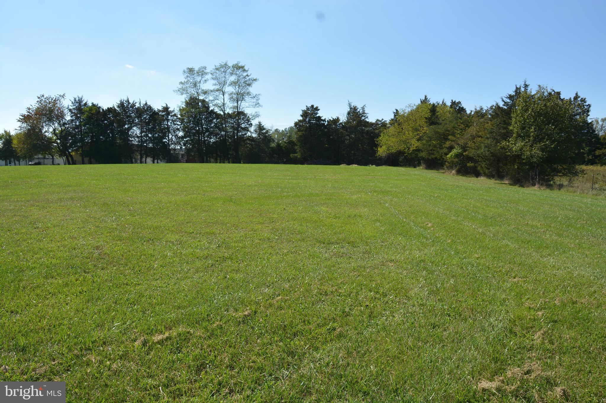 173 Armel Road White Post, VA 22663 - Photo 53 of 69 Most of 4+ acres is cleared, level