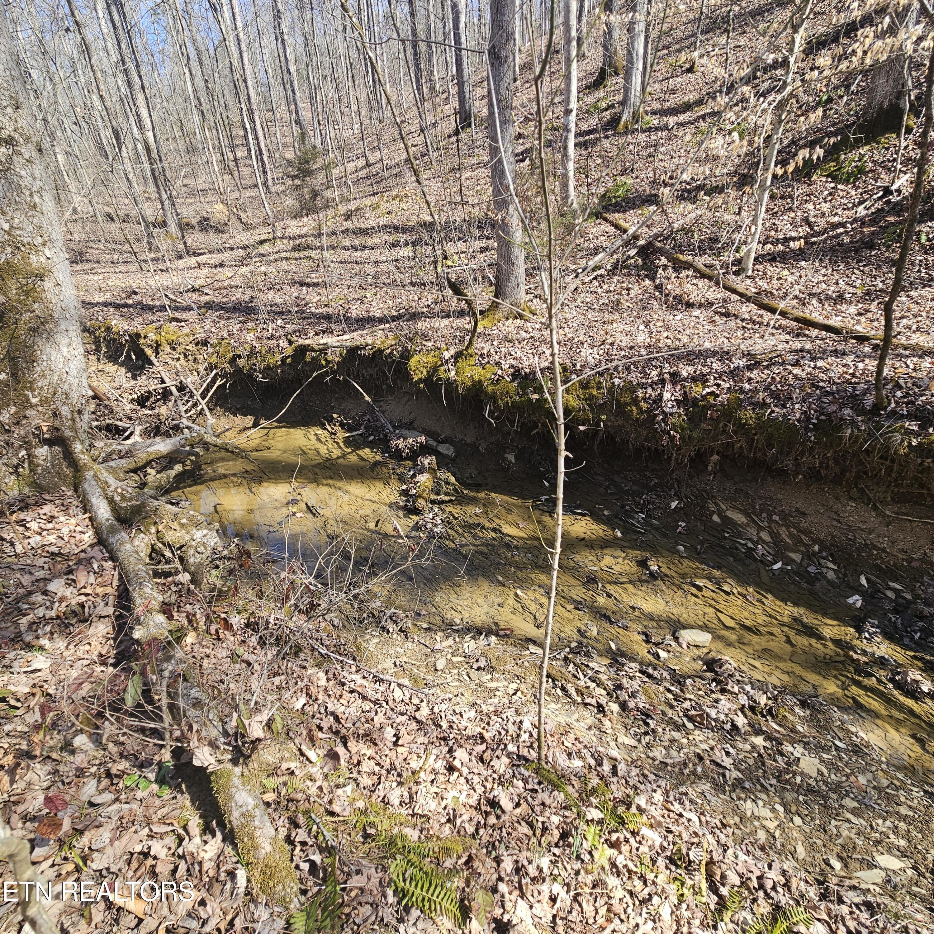 Creek Road Tellico Plains, TN 37385 - Photo 14 of 19 left side
