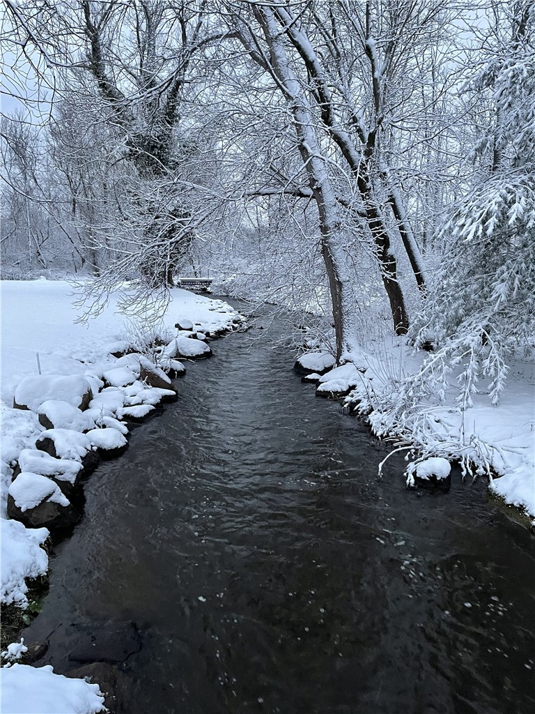 233 Dean Road Parma, NY 14559 - Photo 40 of 42 The creek does freeze, perfect for ice skating & h