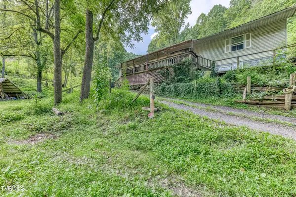 a backyard of a house with plants and large trees