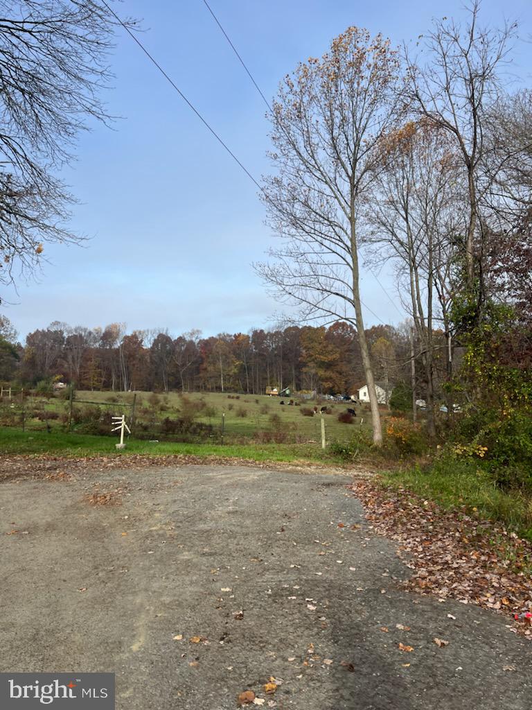 96 5th Avenue Elkton, MD 21921 - Photo 27 of 30 Gorgeous views