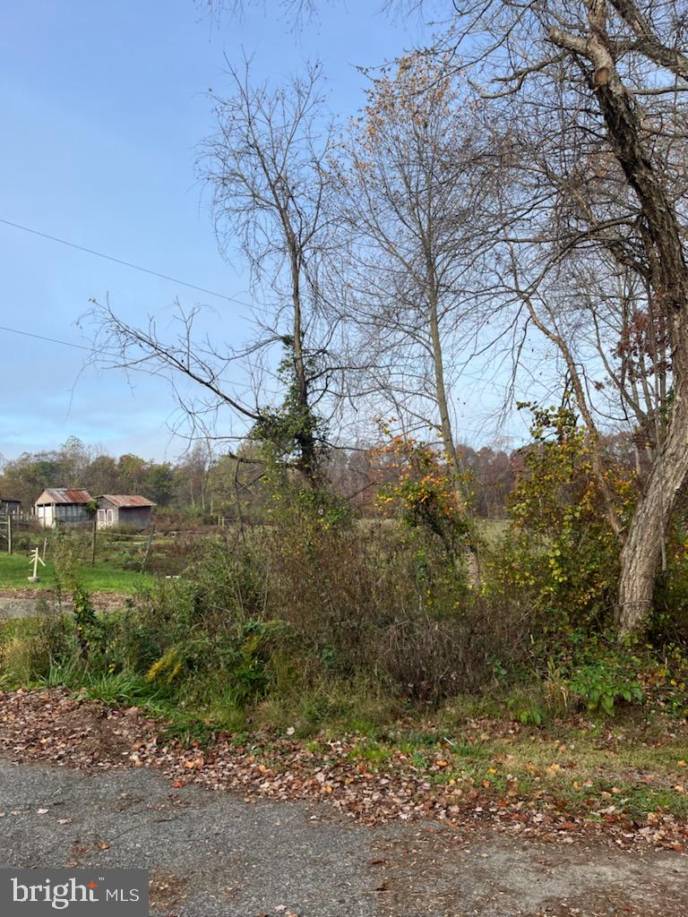 96 5th Avenue Elkton, MD 21921 - Photo 29 of 30