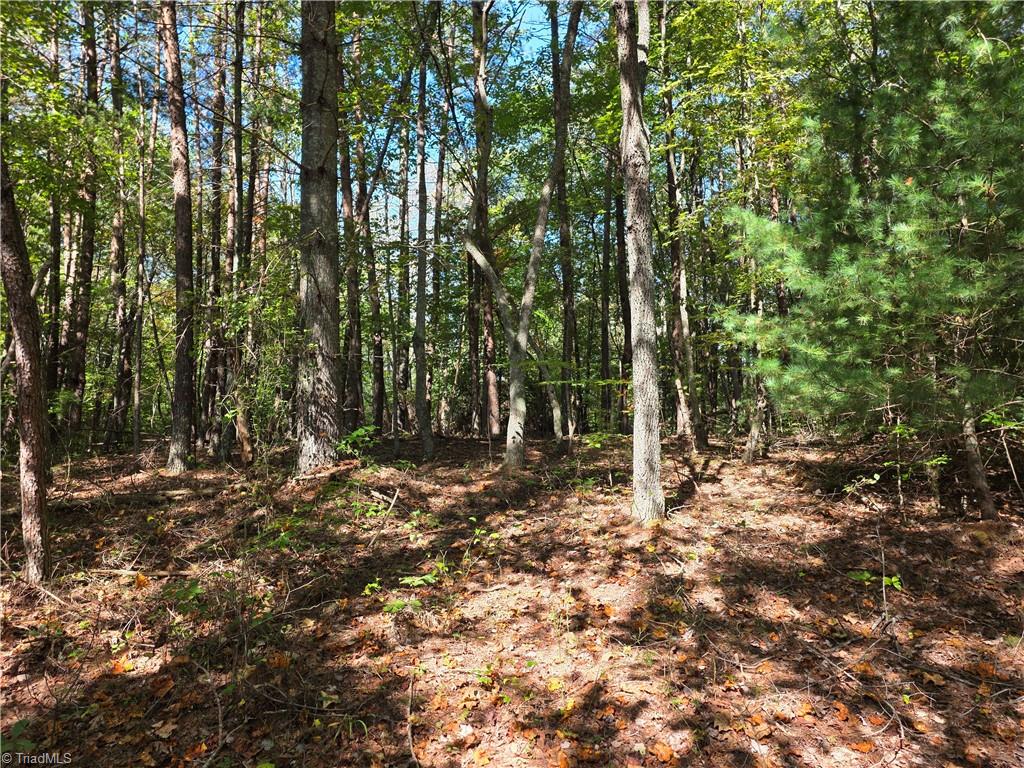 1198 Jackson Road, Unit 10 Westfield, NC 27053 - Photo 5 of 9 Gallery Image 5