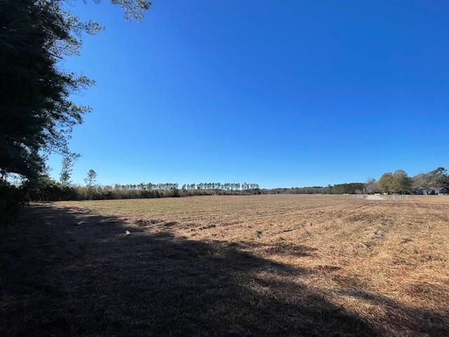 10 Rambling Lane Cross, SC 29436 - Photo 8 of 14 IMG_6452