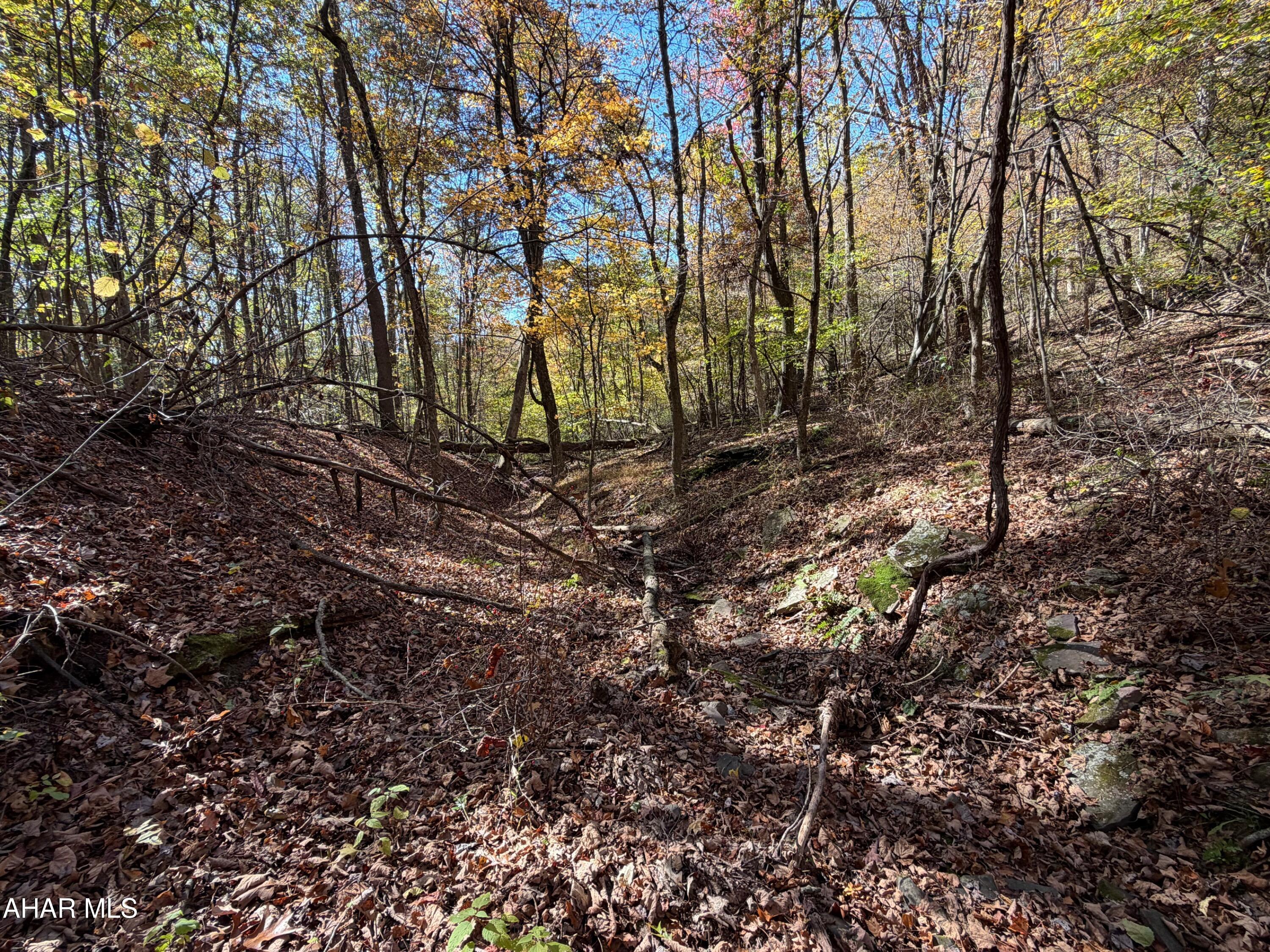 Off Clites Road Buffalo Mills, PA 15534 - Photo 35 of 47 Gallery Image 35