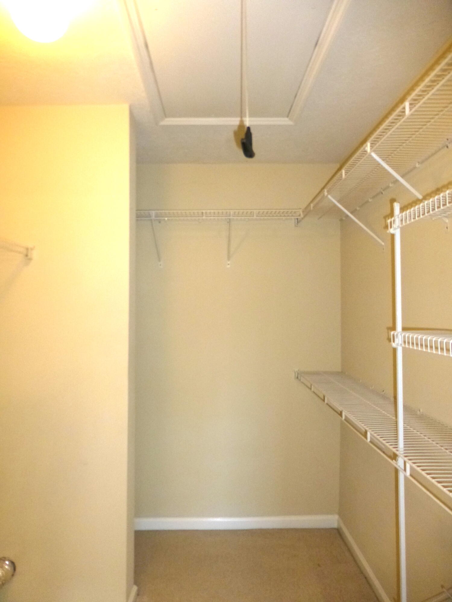 7014 Reagan Circle Augusta, GA 30909 - Photo 7 of 8 LG MAIN CLOSET