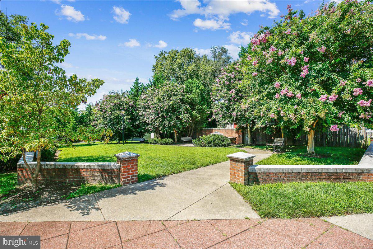 11516 Clairmont View Way Silver Spring, MD 20902 - Photo 30 of 34 Inviting spaces
