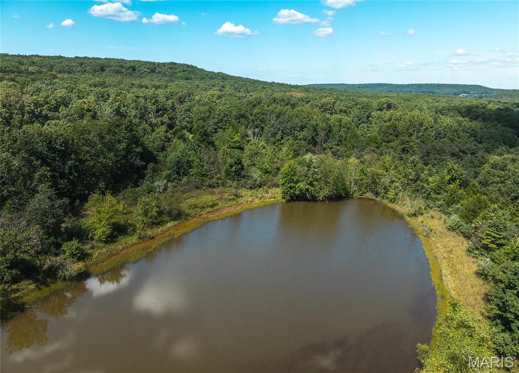 4 Buck Mountain Road Ironton, MO 63650 - Photo 13 of 27