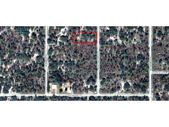 Lot 16 Southwest Lot Road Dunnellon, FL 34431 - Photo 1 of 1 Primary Photo