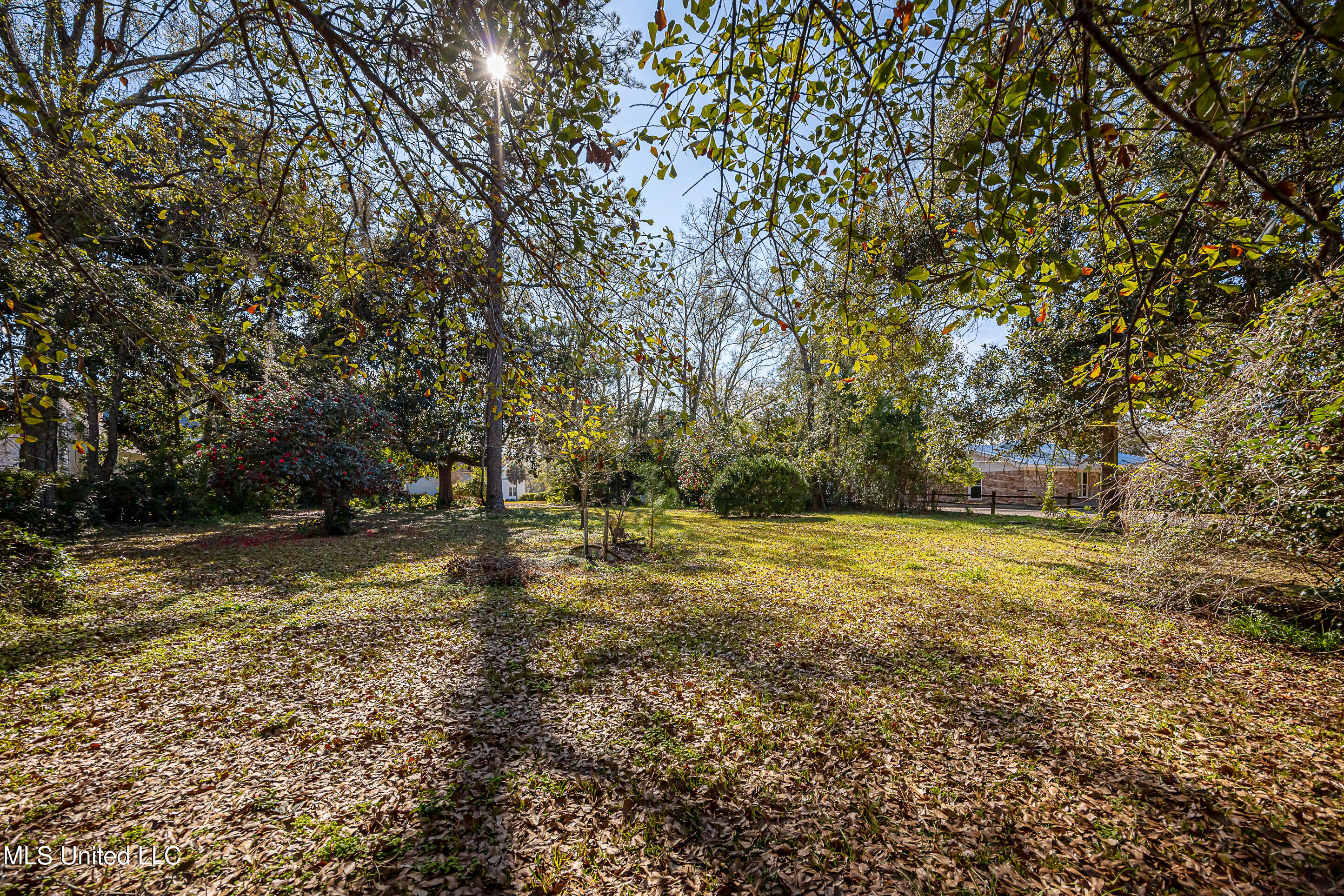 4019 Bellview Avenue Moss Point, MS 39563 - Photo 14 of 89 IMG_3790