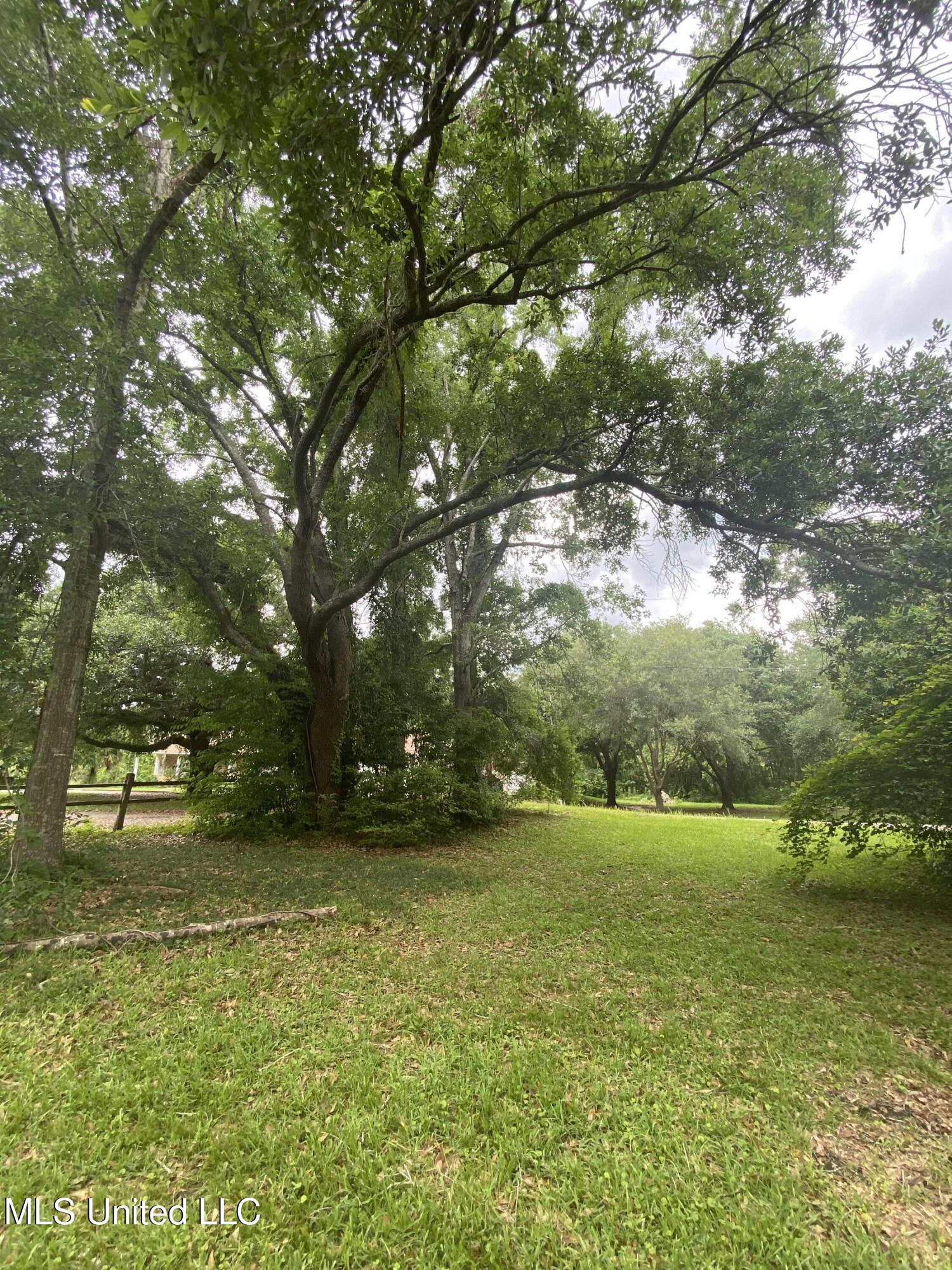 4019 Bellview Avenue Moss Point, MS 39563 - Photo 16 of 65 IMG_7763